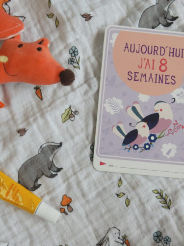 Mes favoris de jeune maman