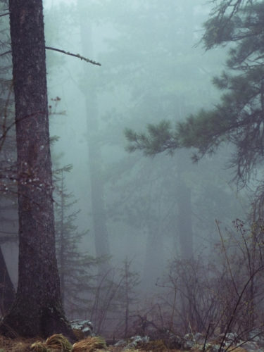 Ces choses étranges et paranormales qui me sont arrivées
