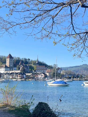 2025 : l’année où j’ai osé