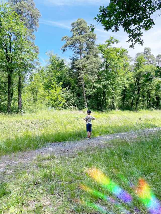 Un grand long week-end en famille qui a fait du bien 🌿 On a alterné entre moment tranquille à la maison et activités en plein air, dont une marche de 3h environ 🥲 Heureusement, y avait des glaces dans le congélo !

Je profite le plus possible de ces instants, car je sais que rien n'est éternel et que même si plus tard, ce sera probablement encore mieux, là, j'apprécie l'endroit où je vis 💕

#vivelanature #lagryonne #bex #alpessuisses #gratitudedudimanche