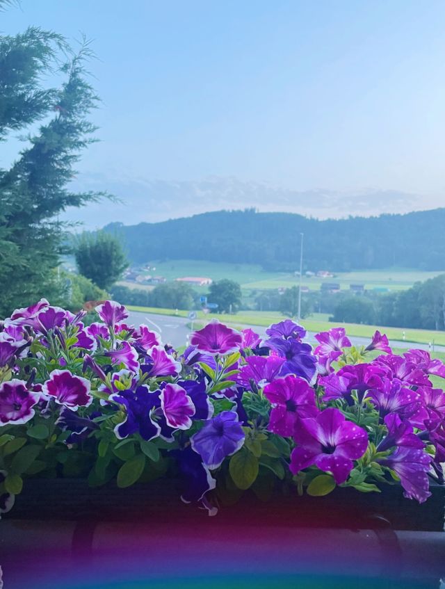 Une semaine bien remplie. Mais aussi remplie de stress, d'agacement, de colère et de frustration 😫 Pas tous les jours facile, mais je continue de garder le cap et à profiter des petits moments de douceur que la vie m'offre 🥰 Et c'est normal d'avoir des périodes un peu plus difficiles que d'autres. Du moment que ça ne s'installe pas trop longtemps...

Ce week-end, par exemple, j'ai eu énormément d'angoisses. J'arriverais pas à dire exactement pourquoi, mais c'est un p'tit mélange de plusieurs choses, je pense 🤷🏼‍♀️ mais c'est pas grave, on fait avec ✨✌🏻

#gratitudedudimanche #bientotlété #bienentourée #santémentale