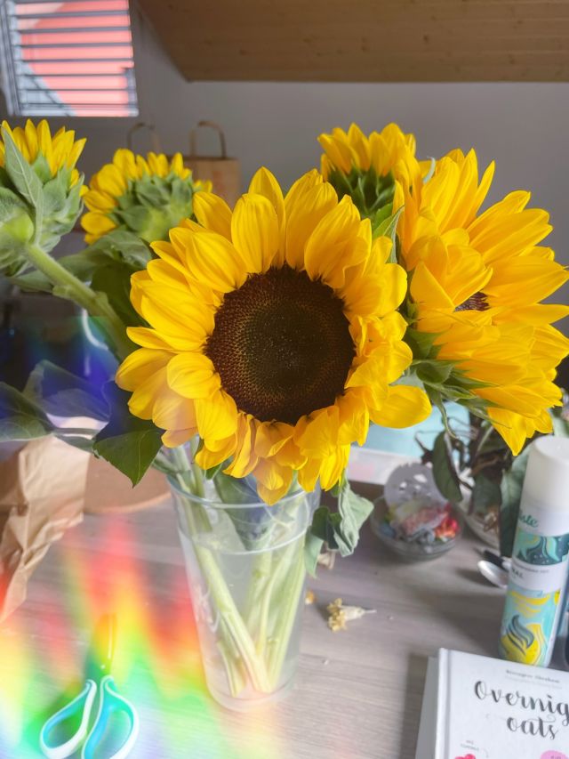 🌻 Une semaine agréable, avec beaucoup de fatigue tout de même. Mais j'ai trié plein de choses à la bibliothèque, fait un inventaire aussi... J'ai eu quelques angoisses par moments et des coups de mou. 

Puis, Samuel est rentré de son camp, on s'est fait un resto pour fêter ça. Ensuite, il a été malade tout le samedi 🙃 et aujourd'hui ça allait mieux alors on est allés se balader et lire au parc. Et en rentrant, j'ai fait un crumble aux pommes 😋

J'ai listé les choses qui me faisaient envie et j'en ai déjà complété plusieurs. C'est cool, c'est chouette, c'est top. Et j'ai moins scrollé ce week-end, ouf 😮‍💨

#gratitudedudimanche #santémentale #tournesols #été2025