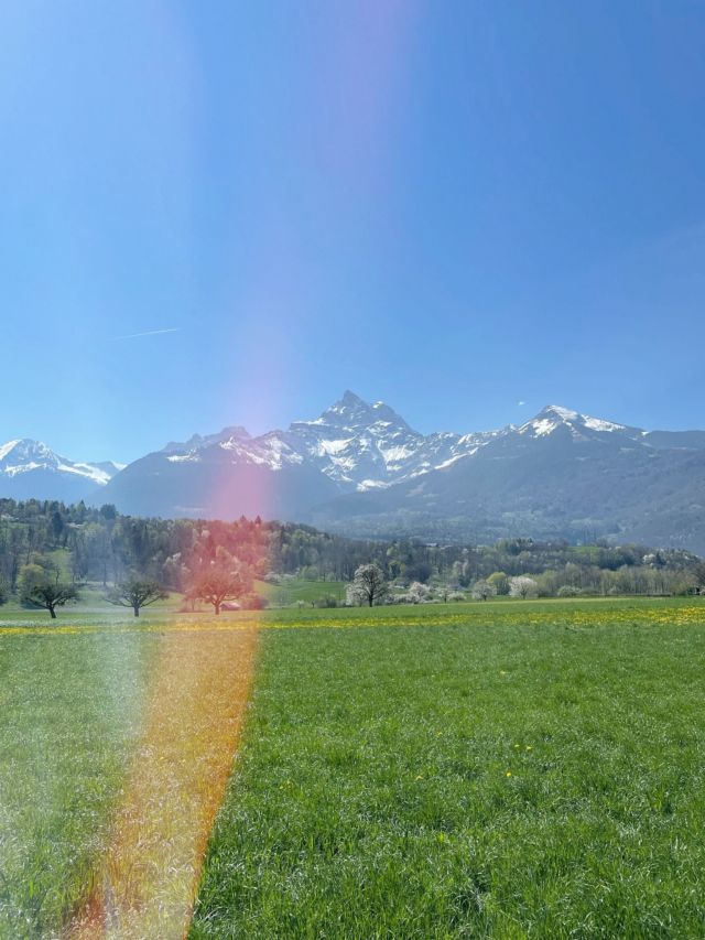 À 34 ans, je suis en train de déconstruire une gigantesque partie de mon identité. En fait, toute ma vie, mon seul but, c'était d'être aimée. Déjà par ma mère... mais comme c'était pas possible, je me suis vite tournée vers les garçons, je suis tombée amoureuse un nombre incalculable de fois. 

Depuis que j'ai 4 ans, à l'école, j'ai toujours eu un "crush". Et quand je dis toujours, c'est TOUJOURS. 

En grandissant, j'ai eu plein de relations, parfois, mon cœur et ma tête étaient pris par plusieurs personnes en même temps. Et il m'est arrivé aussi d'être totalement obsédée par un gars pendant des mois, voire des années. Toujours à imaginer, rêvasser de ce qu'on pourrait vivre, de ce que JE pourrais lui apporter (moi tant qu'on m'aimait, j'avais peu d'exigences, ce qui m'a porté préjudice de nombreuses fois).

Donc là, je me retrouve sans personne d'intérêt, mon cœur a trop souffert ces dernières années et ne veut plus continuer comme ça. Ce que j'avais pas imaginé, c'est que ça ébranlerait mon identité toute entière. 

Qui suis-je au final ? Si je ne suis pas le +1 d'un homme ? Comment me construire si il n'y a pas de "modèle sur lequel se baser" ?

J'essaie de voir le positif. Et je SAIS que ce chapitre est nécessaire. Mais je me rends compte que c'est comme gravir une montagne (d'où la photo) : ça demande un effort incroyable, mais le résultat en vaudra la peine. Là, je suis juste en train de gravir un chemin ultra raide, avec plein de petit gravier qui me fait glisser. Mais c'est ok, y a sûrement un banc avec une belle vue dans pas longtemps. Faut juste continuer d'avancer 🌻

(Merci d'être venu.e à mon TED talk)

#solitude #célibat #santémentale #dépression #gravirlamontagne #déconstruire #decentrerleshommes